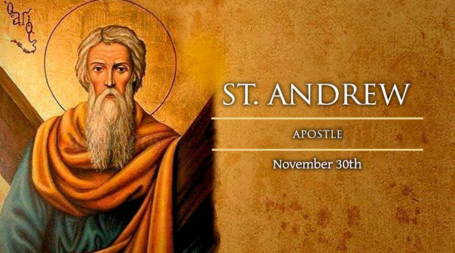 Saint of the day: St. Andrew, Apostle